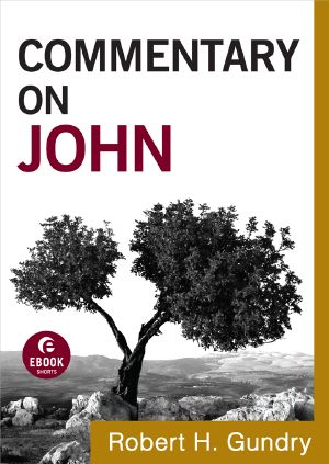 [Commentary on the New Testament 01] • Commentary on John